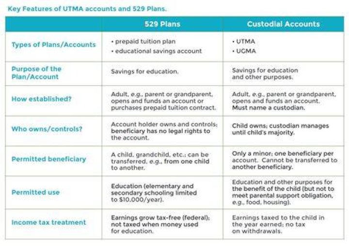 Are 529 plans custodial accounts?