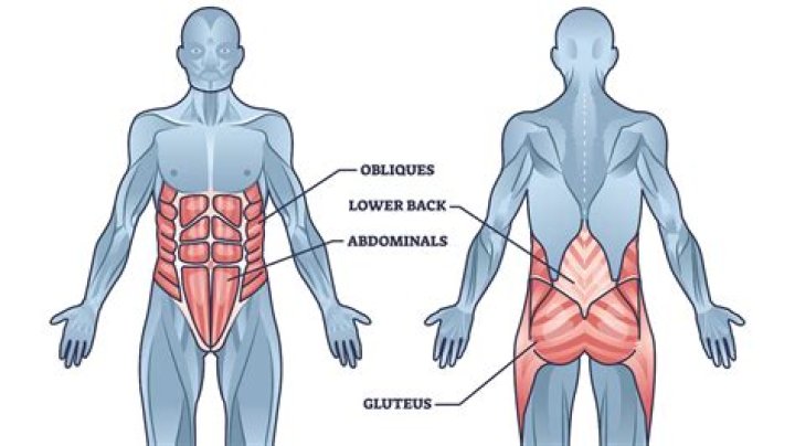 Are abs really worth it?