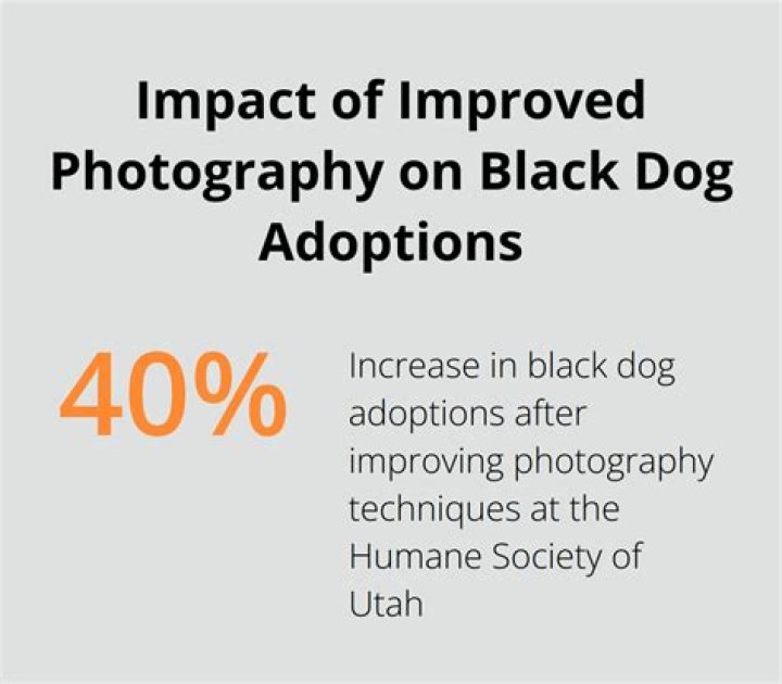 Are black dogs less likely to be adopted?