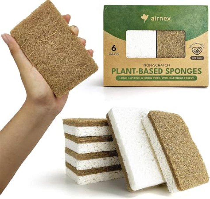 Are dish rags better than sponges?