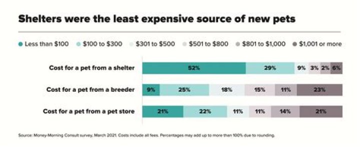 Are dogs or cats cheaper?