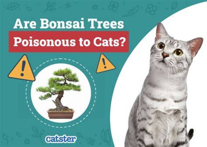 Are fruit trees poisonous to cats?