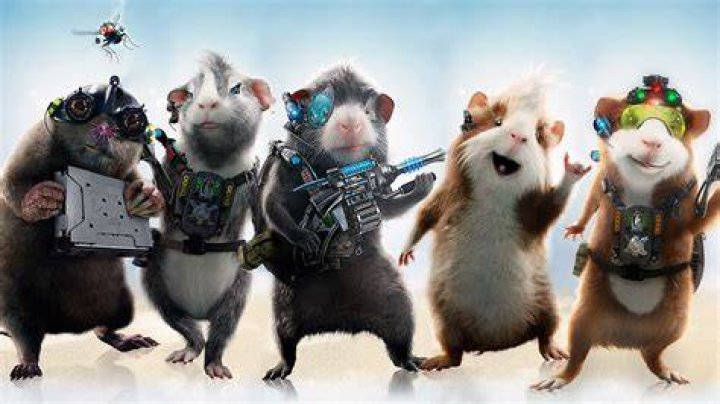 Are G Force hamsters? | ContextResponse.com