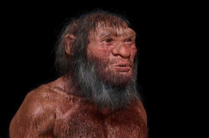 Are humans a specie?