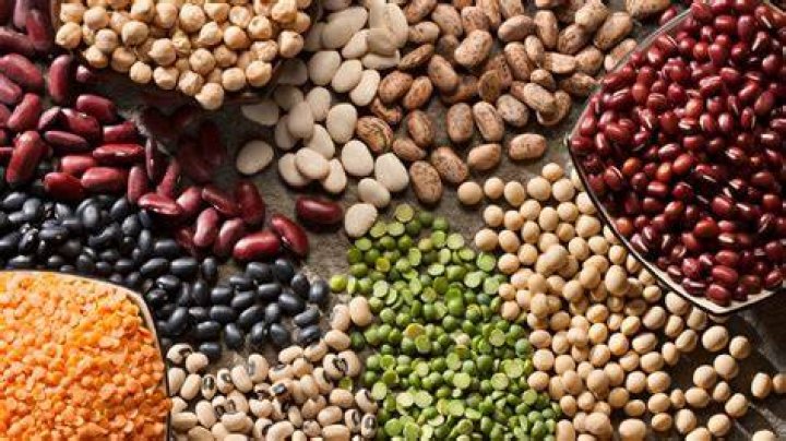 Are legumes and pulses the same thing?