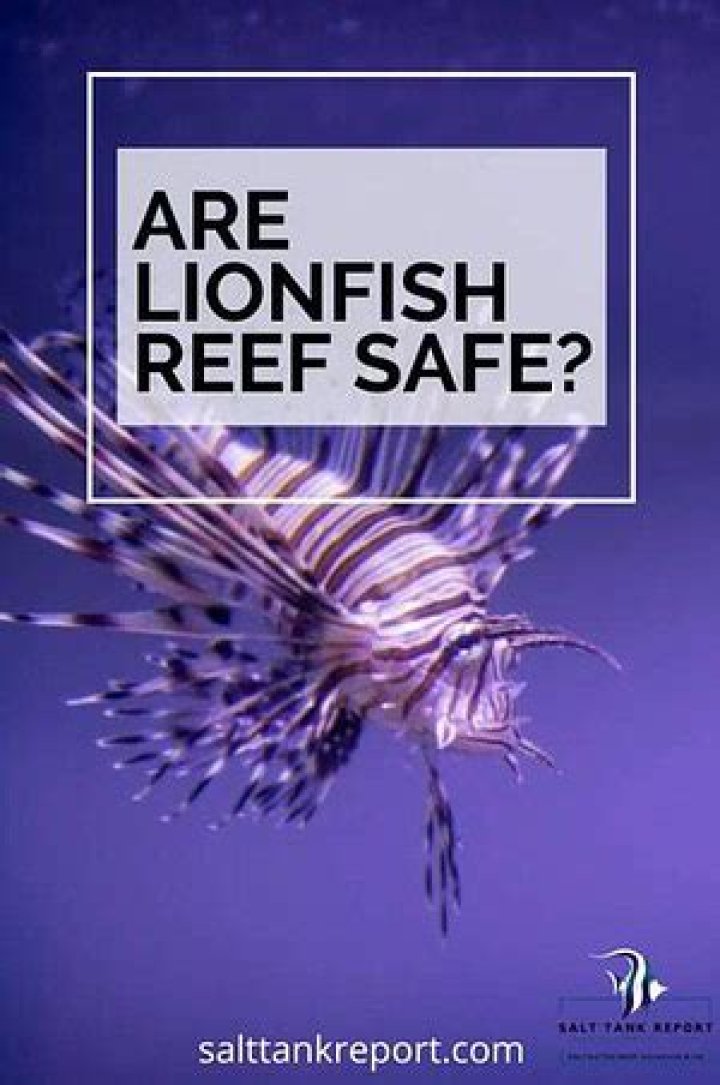 Are lionfish reef safe?