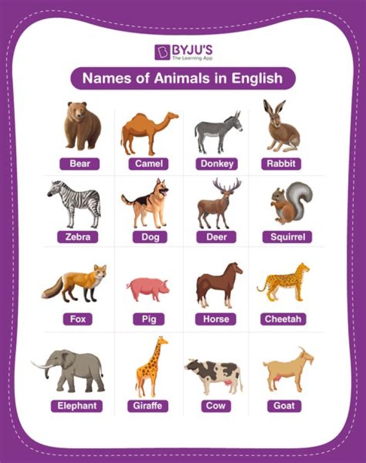 Are names of animals common nouns?
