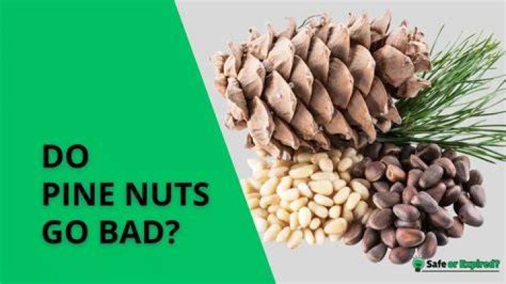 Are pine nuts bad for you?