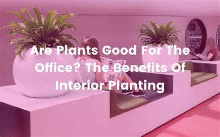Are plants good for the office?
