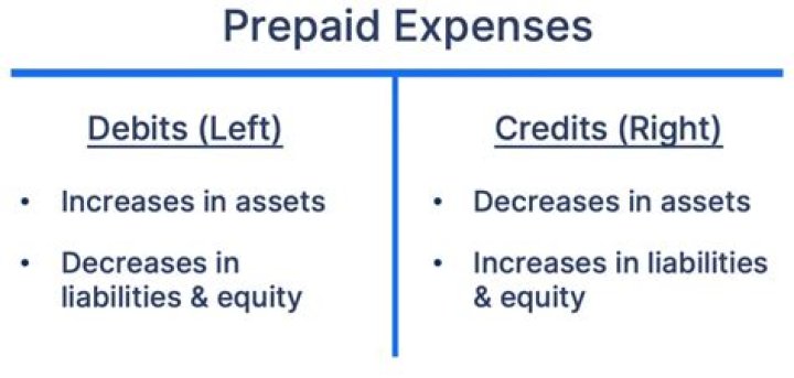 Are Prepaid expenses an asset?