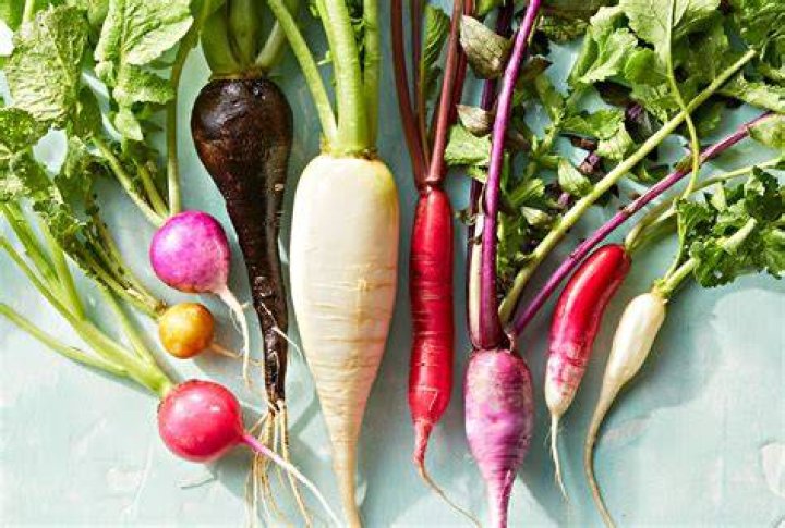 Are radish tops good to eat?