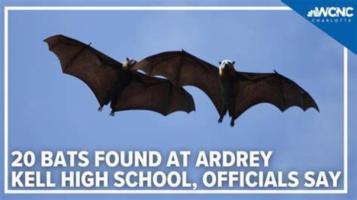 Are rolled bats illegal in high school?