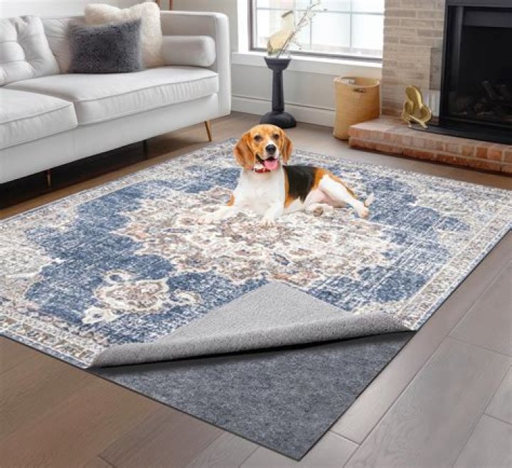 Are rug pads worth it?