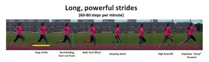 Are shorter strides better?