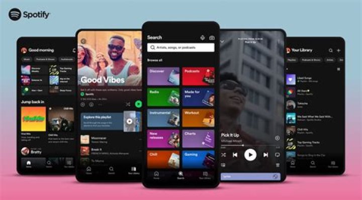 Are there alternatives to Spotify?