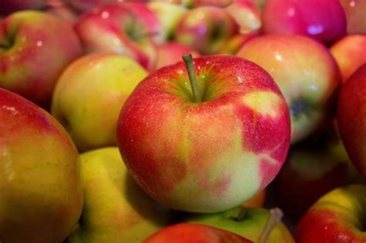 Are to many apples bad for you?