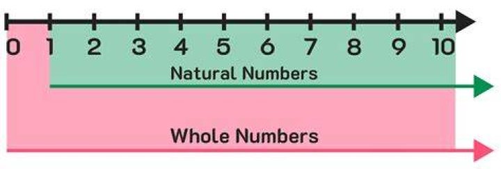 Are whole numbers counting numbers?