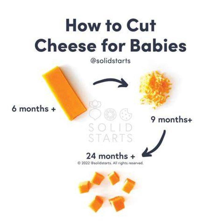 Can 6 month old have cheese?