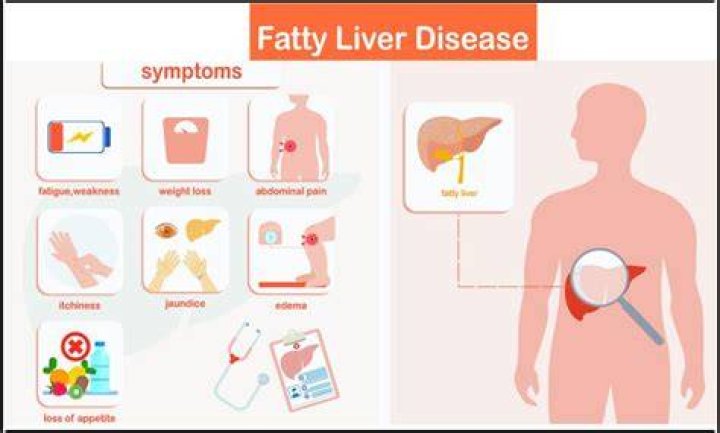 Can a fatty liver cause pain?