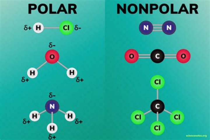 Can a molecule be both polar and nonpolar?
