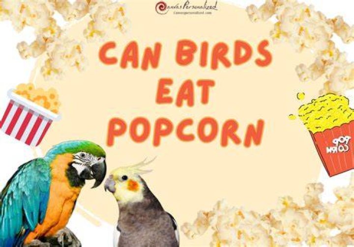 Can birds eat butter? | ContextResponse.com