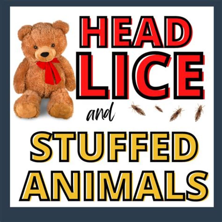 Can head lice get on stuffed animals?