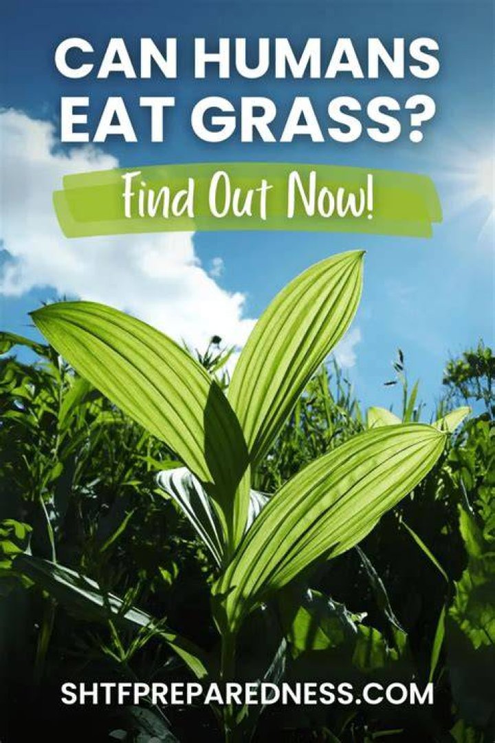 Can humans eat leaves and grass?