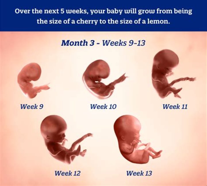 Can I be 6 months pregnant and not know?
