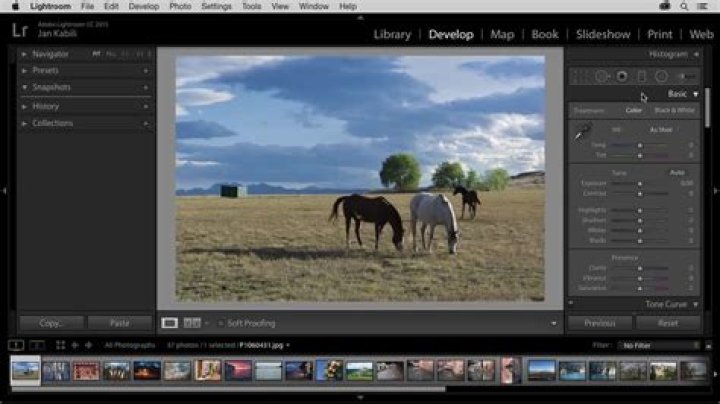 Can I buy lightroom for a month?