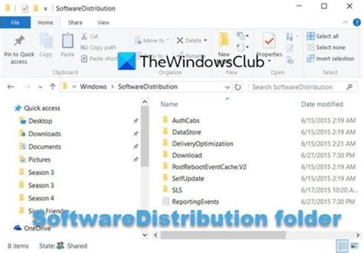 Can I empty SoftwareDistribution download folder?