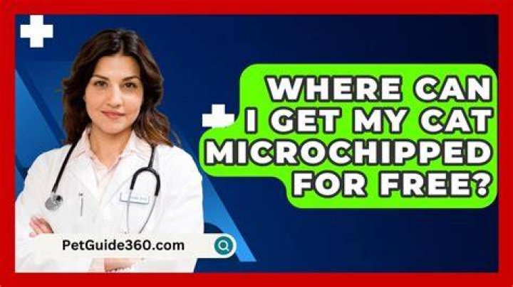 Can I get my cat microchipped for free?