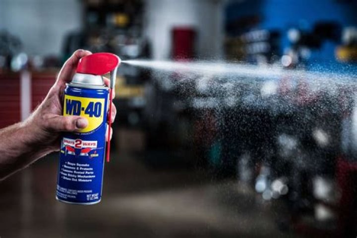 Can I put wd40 in my ignition?