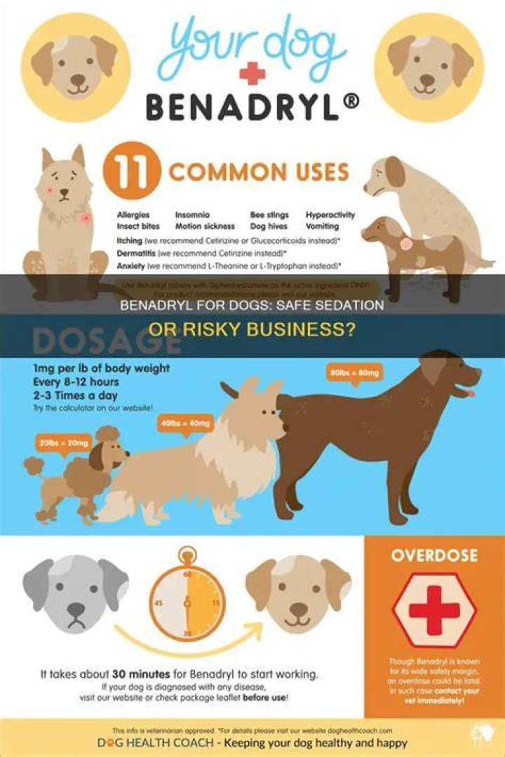 Can I sedate my dog?