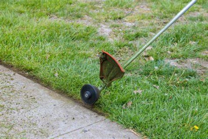 Can I use a hedge trimmer to cut grass?