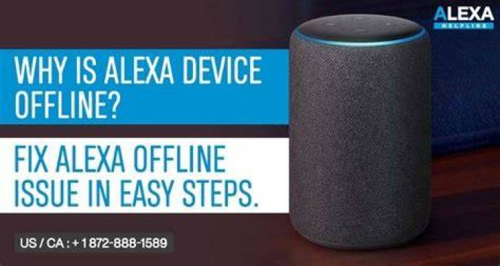 Can I use Alexa offline?
