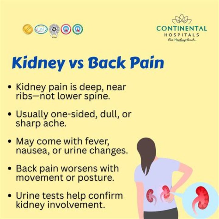 Can kidneys get inflamed? | ContextResponse.com