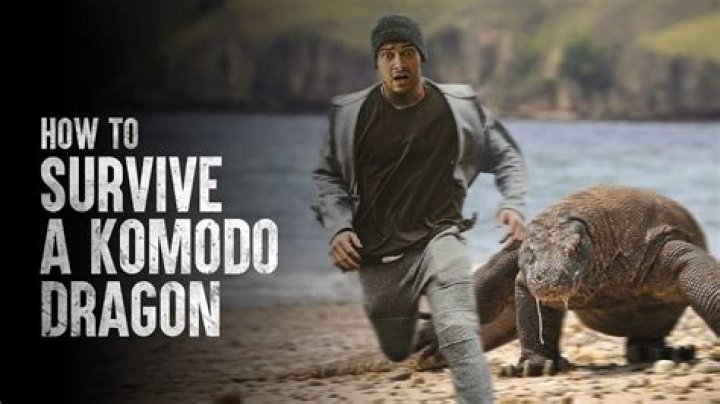 Can Komodo dragons eat humans?