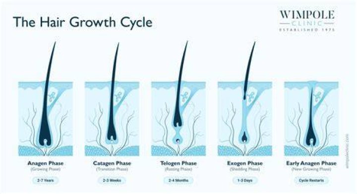 Can lost hair be regrown?