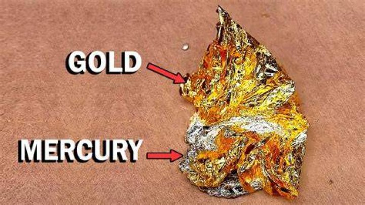 Can mercury dissolve gold?