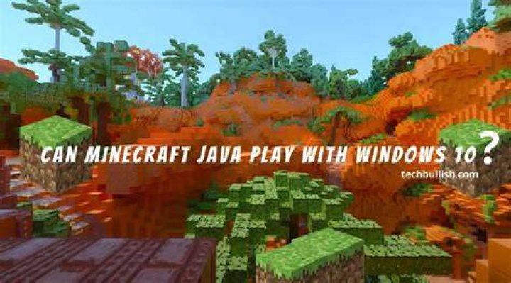 Can Minecraft Java play with Windows 10?