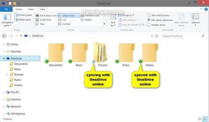 Can OneDrive sync folders?