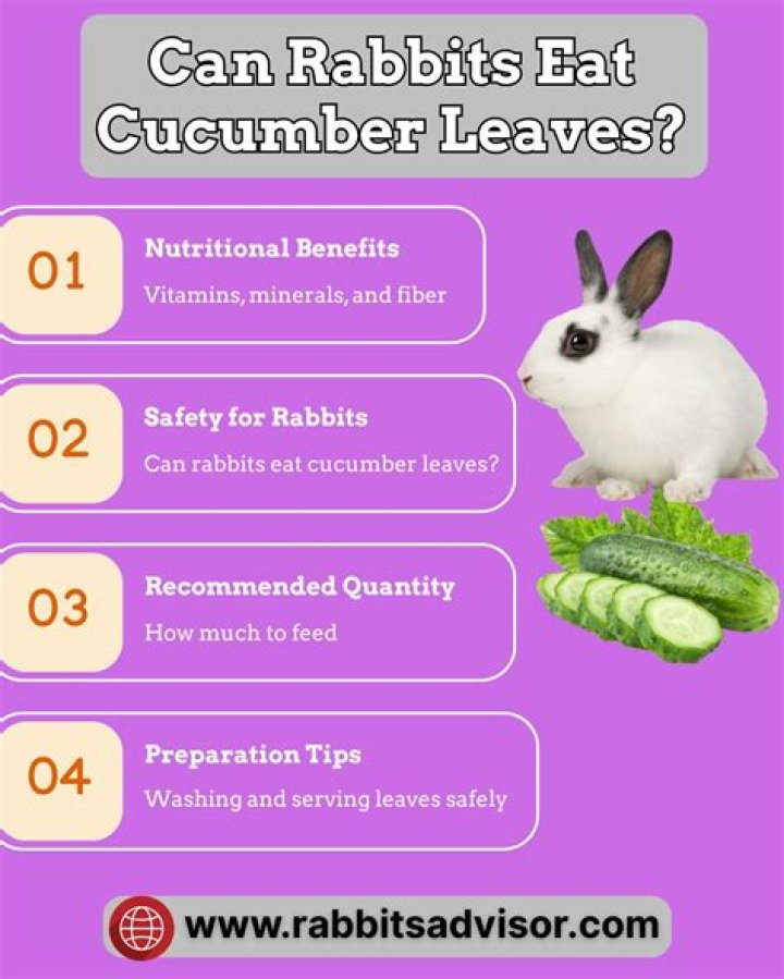 Can rabbits eat cucumber leaves?