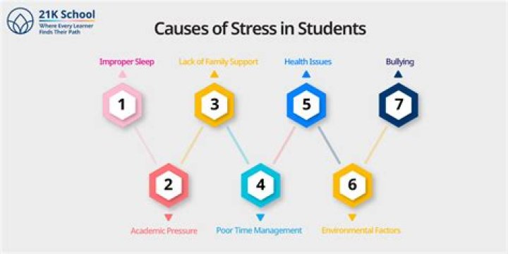 Can school stress cause mental illness?