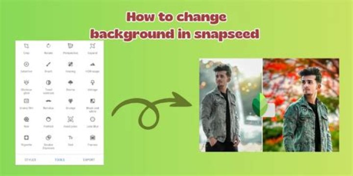 Can snapseed change background?