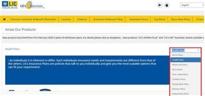 Can we buy LIC policy online?