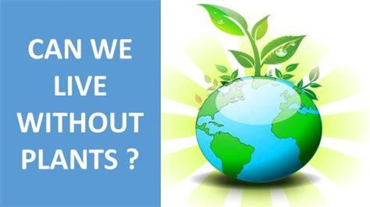 Can we live without plants?