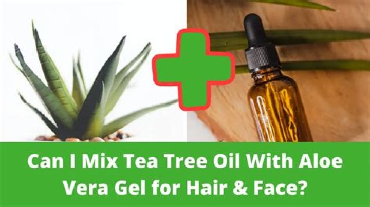 Can we mix tea tree oil with aloe vera gel?
