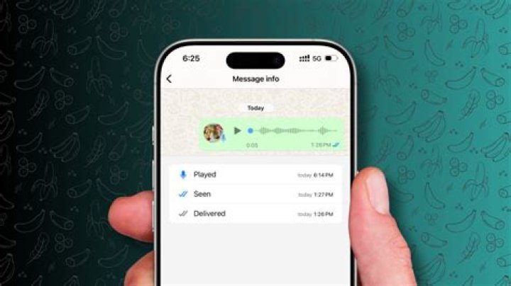 Can WhatsApp send text messages?