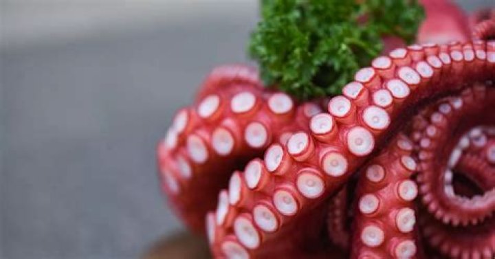 Can you die from eating live octopus?