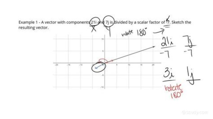 Can you divide a scalar by a vector?